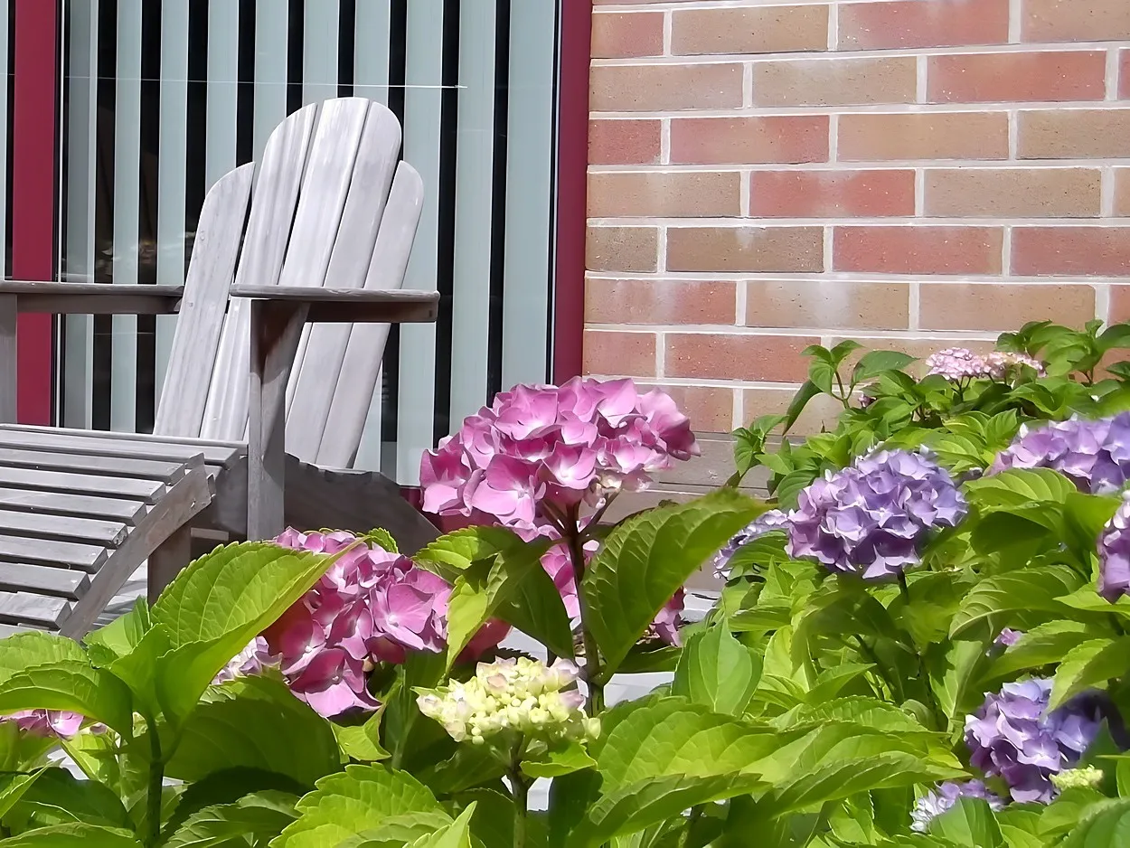 Relaxen op het buitenterras